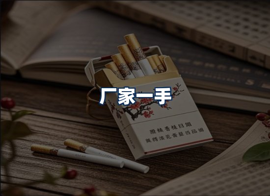 专业团队办公环境